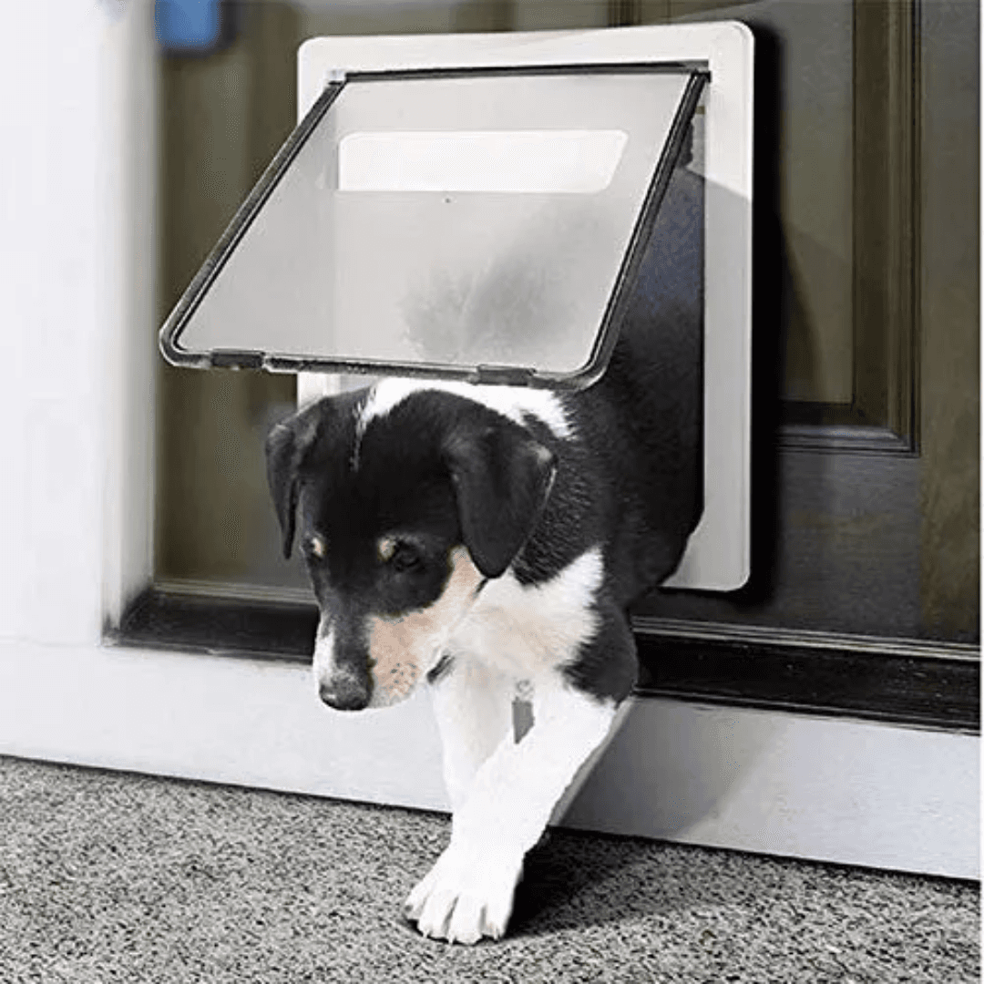 Instalación de Puerta Abatible para Perros o Gatos en La Pintana